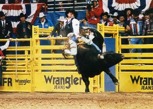 Picture of W-W Livestock Systems Rodeo Bucking Chute being used at the NFR, National Finals Rodeo.